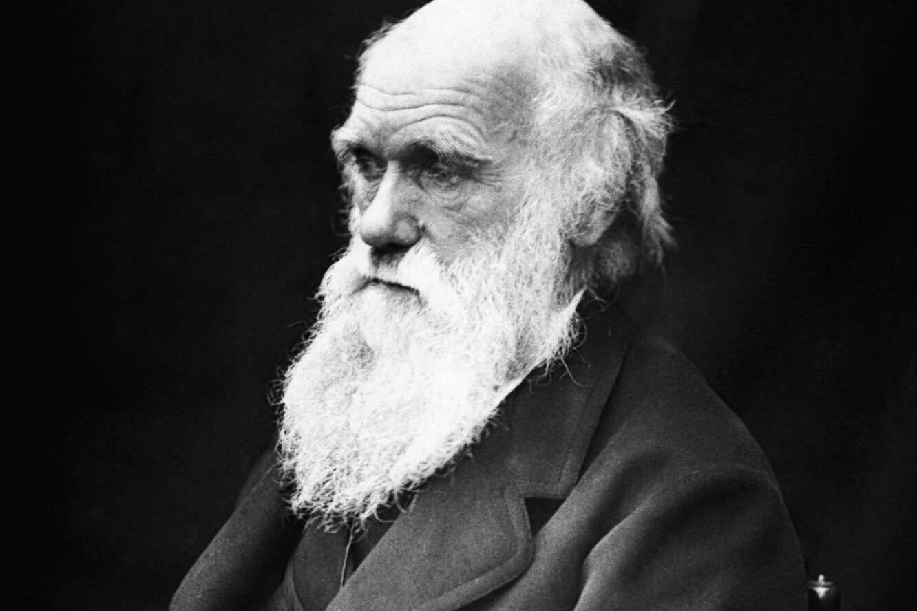 Острая цитата Чарльза Дарвина об алкоголе, которая очень точно описывает влияние спиртного на человека