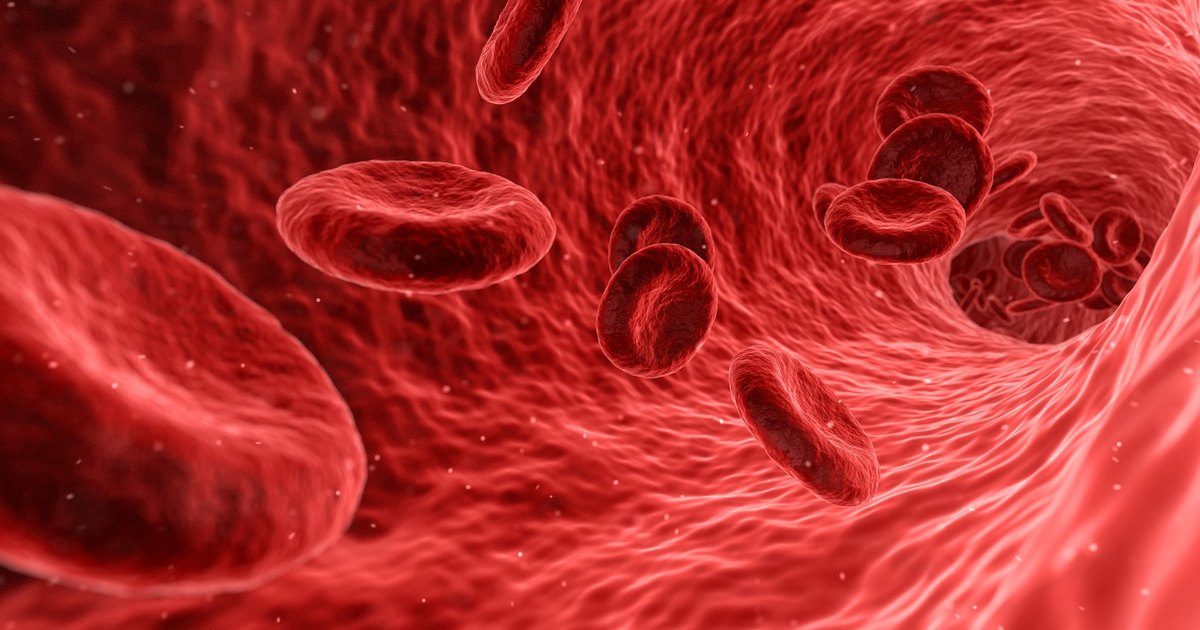 Какие болезни можно предсказать по группе крови