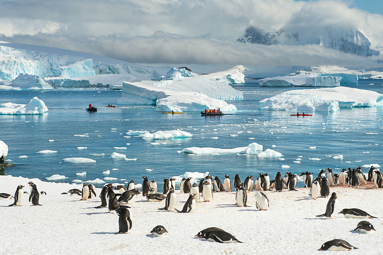 7 самых интересных фактов об Антарктике, которые вас удивят