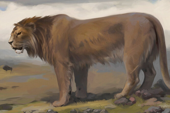 Где водились самые крупные львы за всю историю Земли
