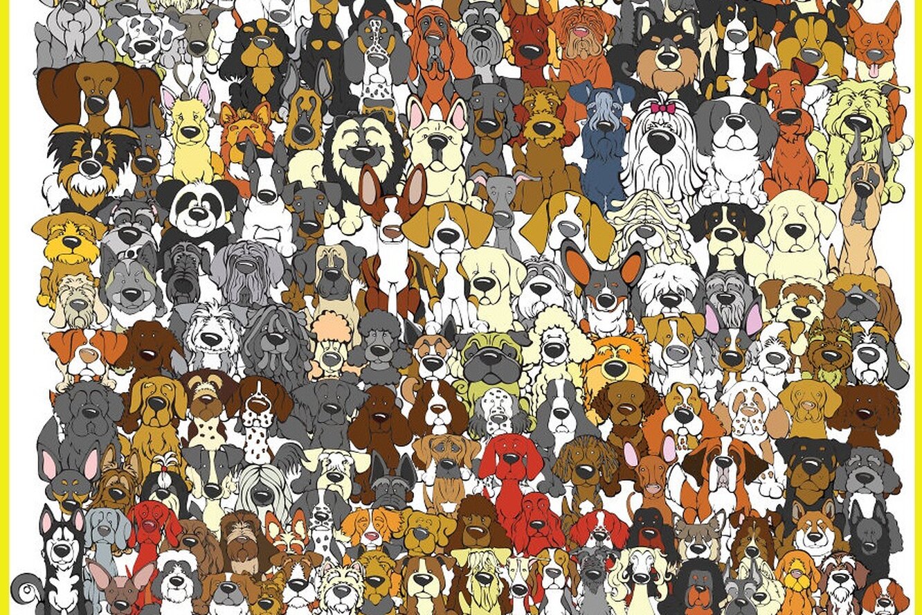 Найдите кого. Найди панду. Найдите кота среди собак. Найди собаку среди котов. Найди на картинке.