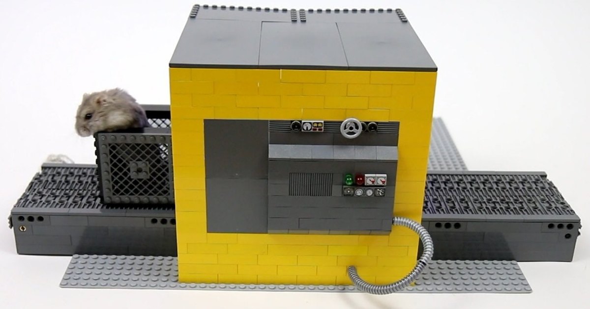 Хомякомоечная машина и другие удивительные устройства из деталей LEGO