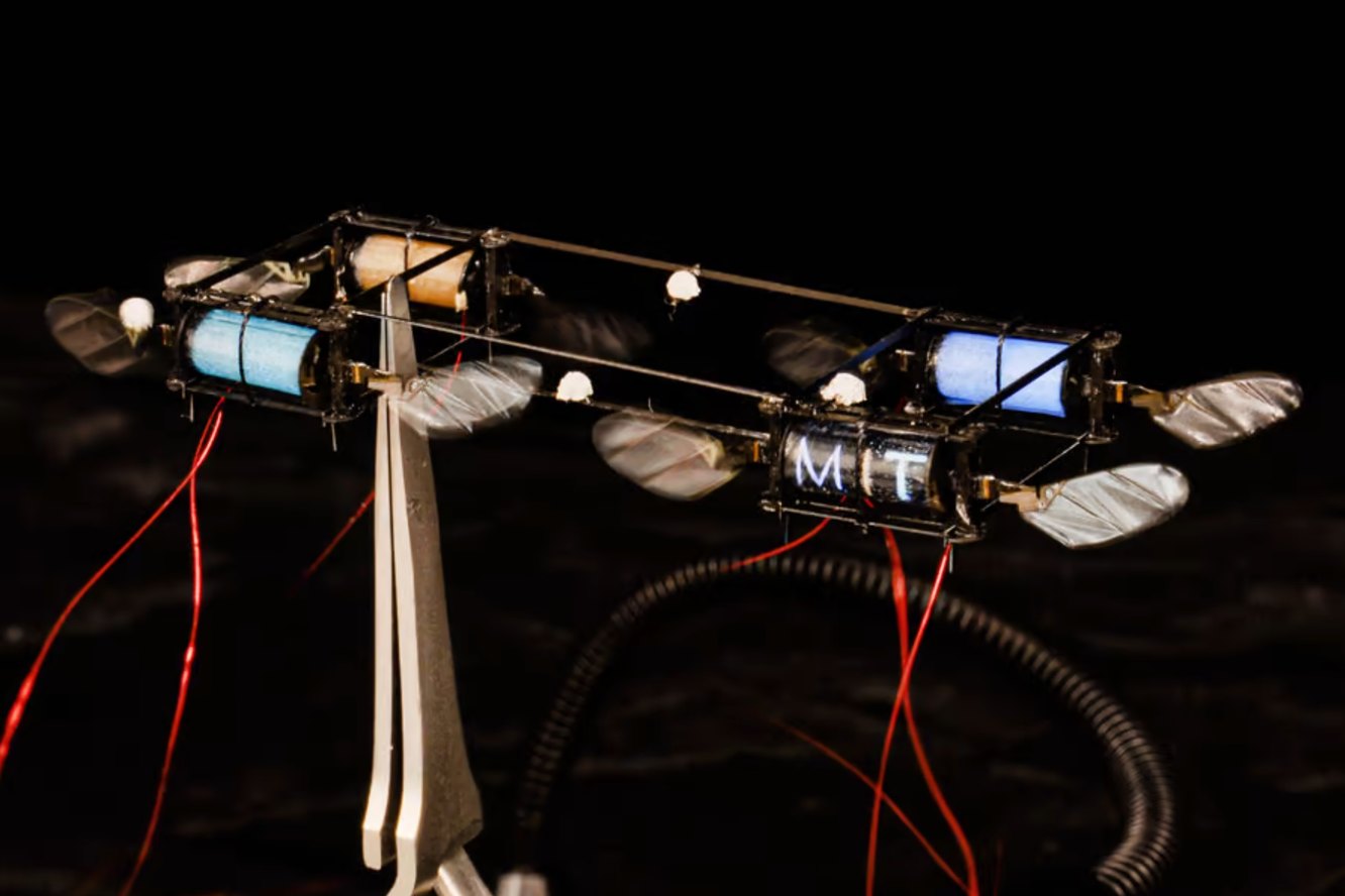 Инженеры MIT заставили крошечных летающих роботов светиться — разумеется, во имя науки