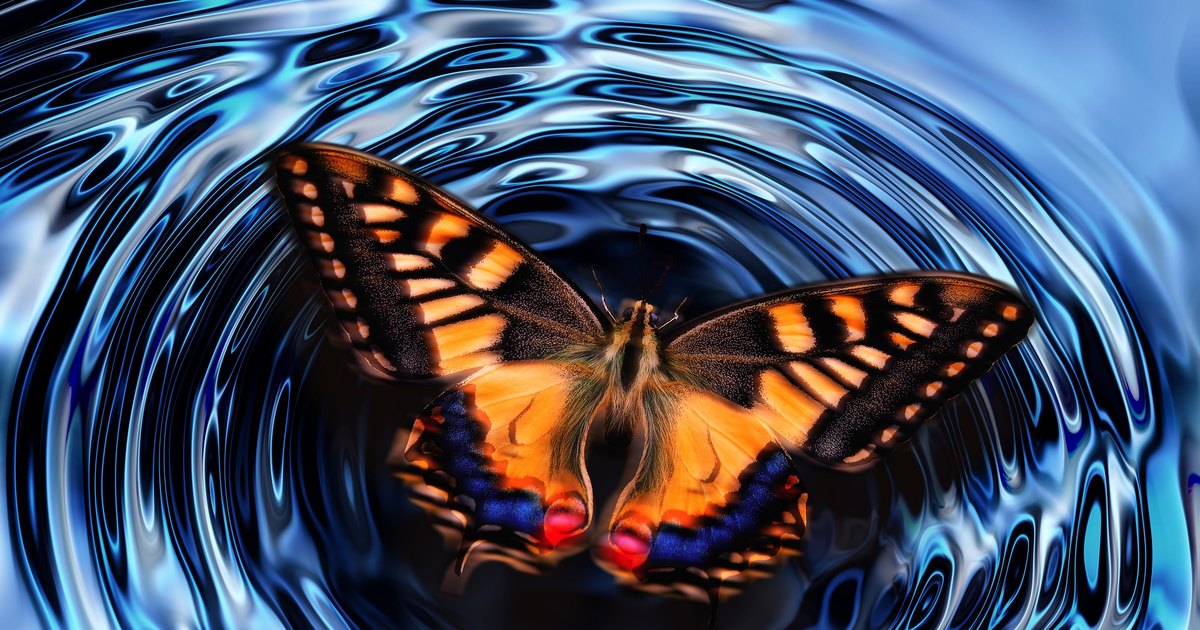 Как восстанавливается реальность и почему «эффекта бабочки» на самом деле не существует