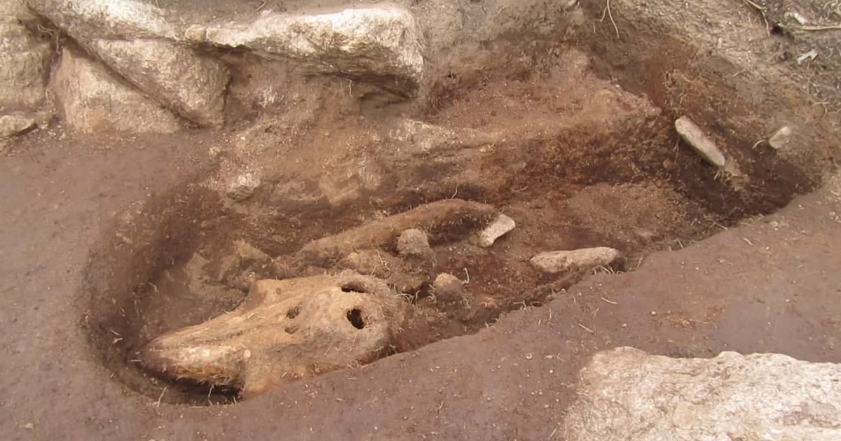 Могила или холодильник: невероятно странная археологическая находка, сильно озадачившая ученых