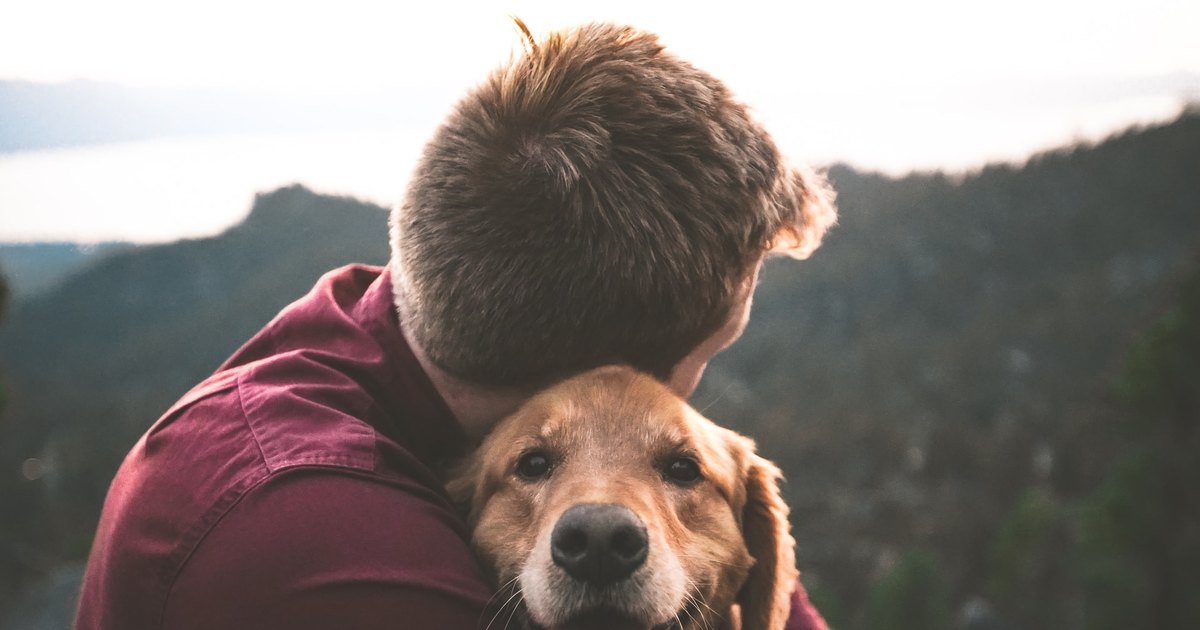 Самый преданный пес: 7 признаков, которые указывают на то, что ваша собака очень сильно вас любит