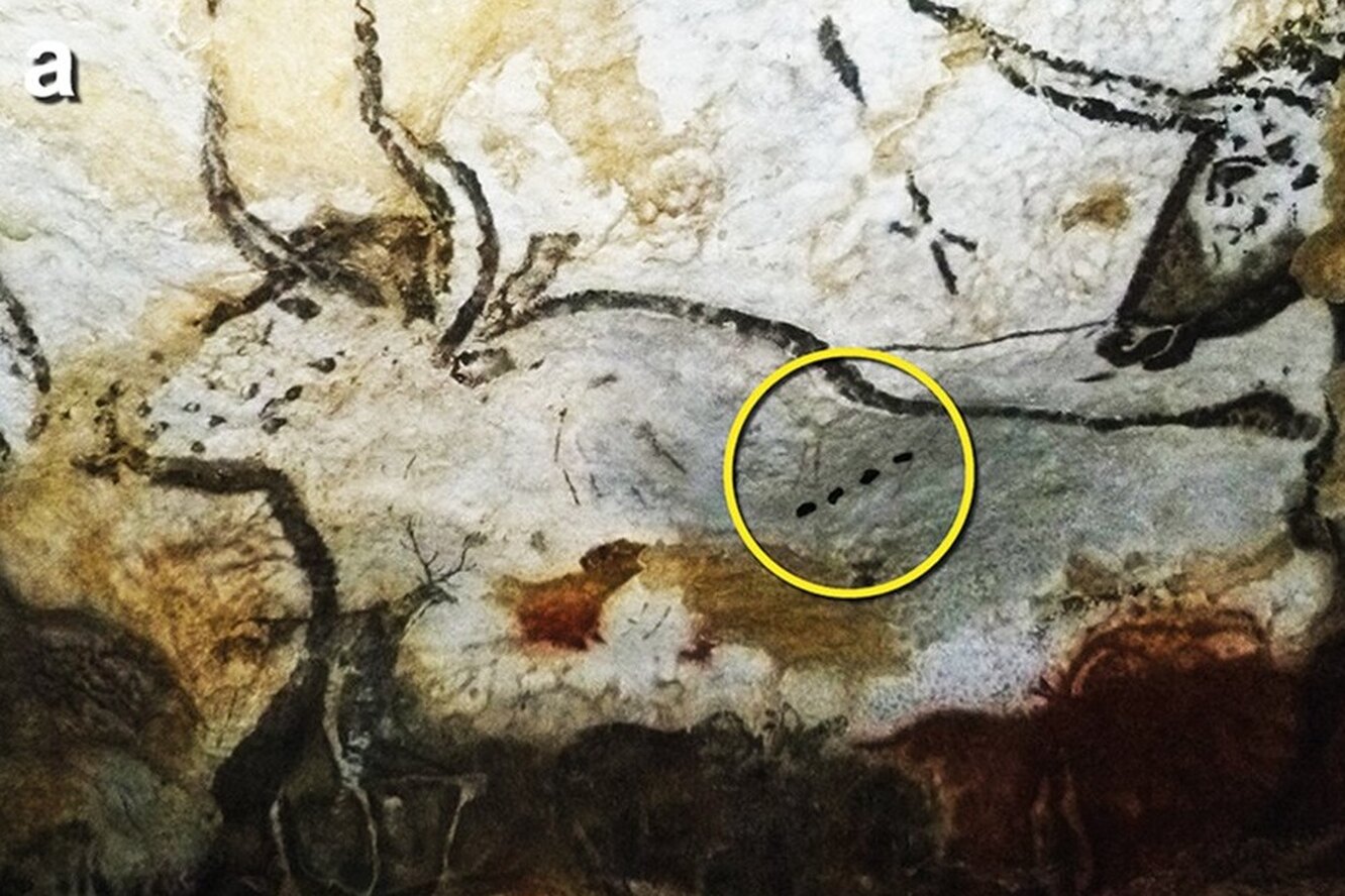 Ученые расшифровали таинственные знаки на наскальных рисунках, сделанных десятки тысяч лет назад